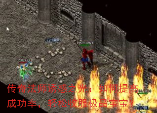 ���淨ʦ�ջ�֮�⣺�����߳ɹ��ʣ������շ���Ʒ������