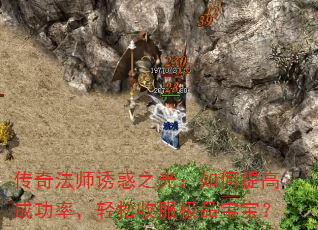 ���淨ʦ�ջ�֮�⣺�����߳ɹ��ʣ������շ���Ʒ������