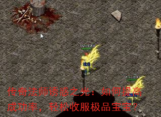 ���淨ʦ�ջ�֮�⣺�����߳ɹ��ʣ������շ���Ʒ������