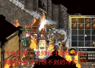 ����˽������ʦ���ֱܿ�ָ�ϣ�����Щ������벻������֪ʶ��
