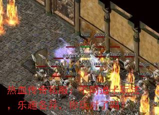 ��Ѫ����˽������ͬ��ʿ�淨����Ȥ���죬���������