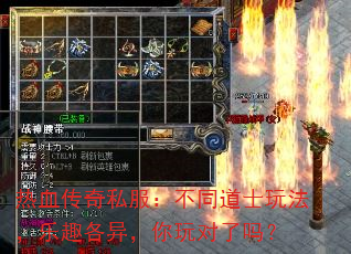 ��Ѫ����˽������ͬ��ʿ�淨����Ȥ���죬���������
