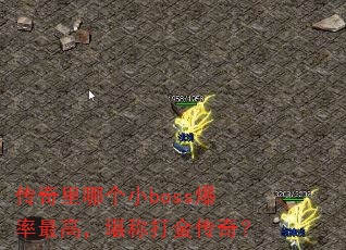 �������ĸ�Сboss������ߣ����ƴ���棿