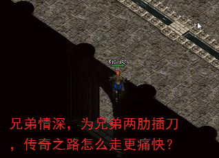 �ֵ����Ϊ�ֵ����߲嵶������֮·��ô�߸�ʹ�죿