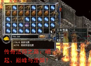 ���淨ʦ֮·�������۷���������