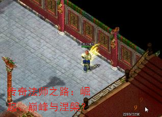 ���淨ʦ֮·�������۷���������