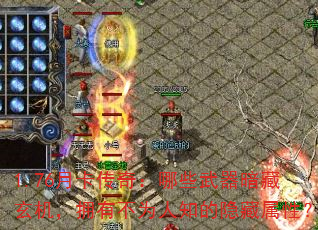 1.76�¿����棺��Щ��������������ӵ�в�Ϊ��֪���������ԣ�