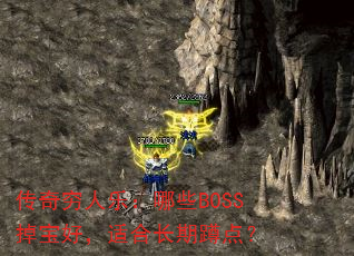 ���������֣���ЩBOSS�����ã��ʺϳ��ڶ׵㣿