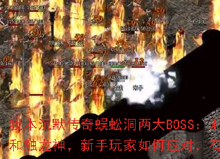 �ұ���Ĭ������򼶴����BOSS��а��ǯ��ʹ���������������Ӧ�ԣ���û�м��ɣ�