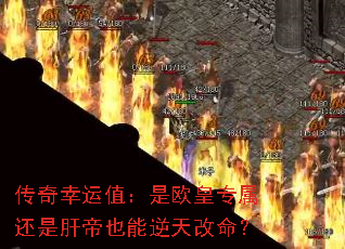 ��������ֵ����ŷ��ר�����Ǹε�Ҳ�����������