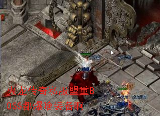 ��������˽������BOSS����ɶװ����