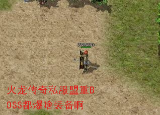 ��������˽������BOSS����ɶװ����