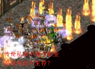 ����˽�����ĸ�ְҵ���ʺ��������棿