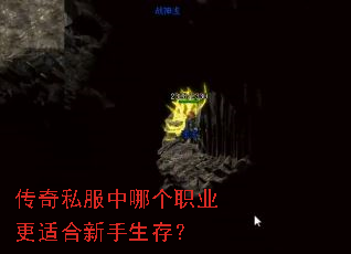 ����˽�����ĸ�ְҵ���ʺ��������棿