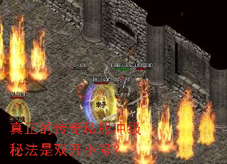 �����Ĵ���˽���弶�ط���˫��С�ţ�