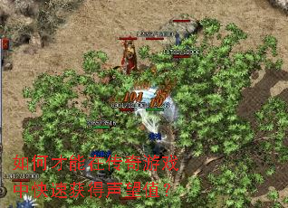 ��β����ڴ�����Ϸ�п��ٻ������ֵ��