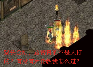 ˫ͷ��գ������Ĳ����˴�ģ���û�д��н�����ô����