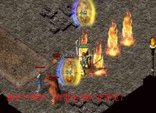 �¿�����SF����������δ�Ѱ�٣�