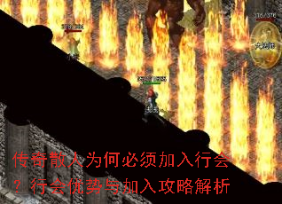 ����ɢ��Ϊ�α�������л᣿�л���������빥�Խ���