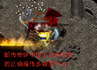 �´���SF�е�ʿ�ٻ���������ȷ����������ʲô��