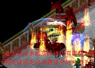 ��ʿ�ٻ�����ʵս��������Щ����θ�Ч�����ٻ�������ս������