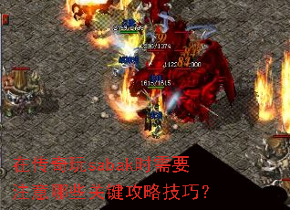 �ڴ�����sabakʱ��Ҫע����Щ�ؼ����Լ��ɣ�