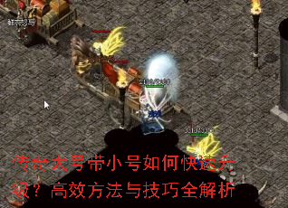 �����Ŵ�С����ο�����������Ч�����뼼��ȫ����