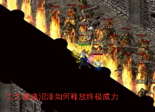 �����ɻ���������ͷ��ռ�����
