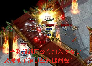����˽������������빥����Ҫ��ǰ�˽���Щ�ؼ����⣿