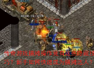 ������Ϸ��̯����������Щ���ؼ��ɣ�������ο��ٳ�Ϊ��̯���ˣ�