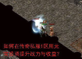 ����ڴ���˽��1����Ԫ��Ͷ������ս�������棿