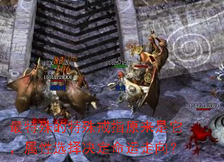 ������������ָԭ������������ѡ�������������