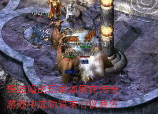 ������������ڴ�����Ϸ�гɹ�׷�����ǽ�ɫ