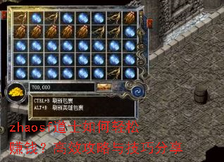 zhaosf��ʿ�������׬Ǯ����Ч�����뼼�ɷ���