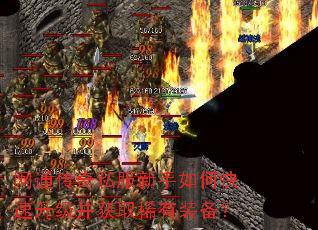 ��ͨ����˽��������ο�����������ȡϡ��װ����