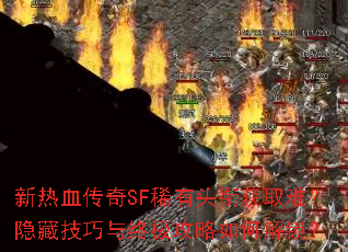 ����Ѫ����SFϡ��ͷ�λ�ȡ�ѣ����ؼ������ռ�������ν�����