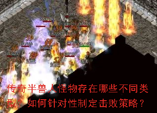 ��������˹��������Щ��ͬ���ͣ����������ƶ����ܲ��ԣ�