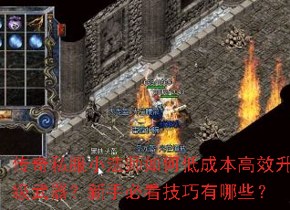 ����˽��С��ʦ��εͳɱ���Ч�������������ֱؿ���������Щ��