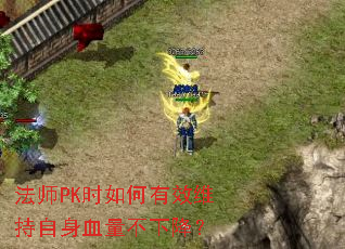 ��ʦPKʱ�����Чά������Ѫ�����½���