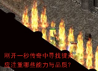 �տ�һ�봫����Ѱ��ͽ��Ӧע����Щ������Ʒ�ʣ�