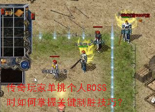 ������ҵ�������BOSSʱ������չؼ���ʤ���ɣ�