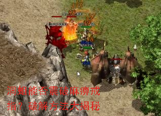 �����ܷ�������Խ�ָ���ƽⷽ�������