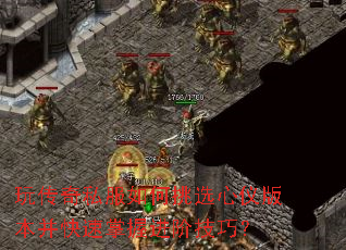 �洫��˽�������ѡ���ǰ汾���������ս��׼��ɣ�