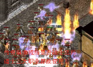 ������Խ�ָ�Ƿ�սʿ��ʦ��ʿ����ְҵ����ʹ�ã�