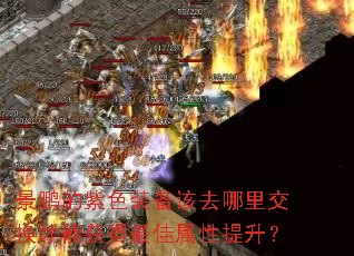 ��������ɫװ����ȥ���ｻ�����ܻ���������������
