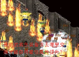 ��������ɫװ����ȥ���ｻ�����ܻ���������������
