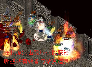 �ڹ�ħ������boss�ܻ����Щϡ��װ���������ߣ�