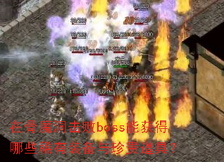 �ڹ�ħ������boss�ܻ����Щϡ��װ���������ߣ�