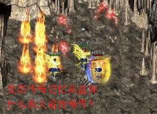 ��̬�������ͷ��ƾʲô�ܻ�鴫��磿