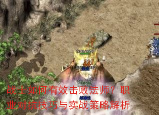 սʿ�����Ч���ܷ�ʦ��ְҵ�Կ�������ʵս���Խ���